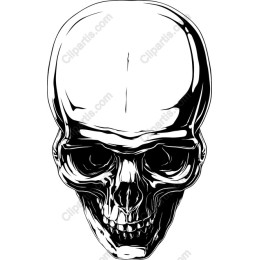Stylized Skull