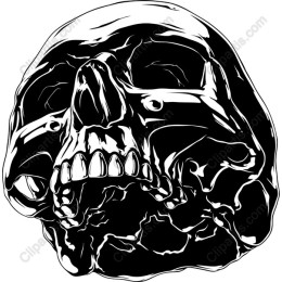 Bold Black Skull