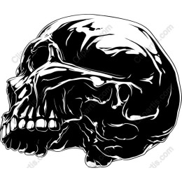 Black and White Skull