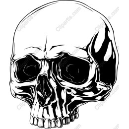 Striking Skull