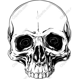 Skull - Black and White