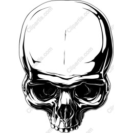 Skull - Edgy Graphic