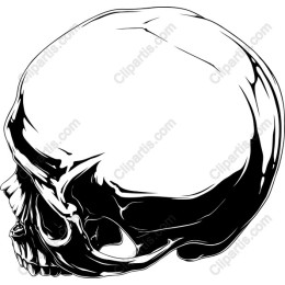 Skull - Premium