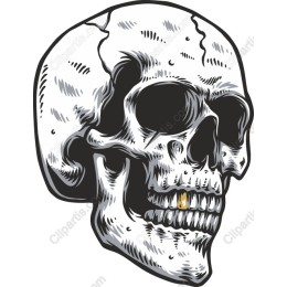 Edgy Skull