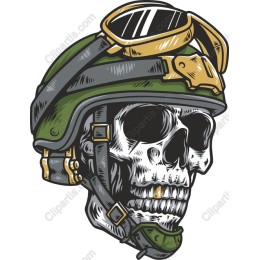 Warrior Skull with Helmet