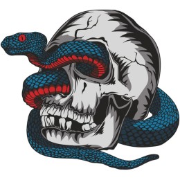 Skull and Snake