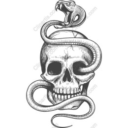 Intricate Skull and Snake