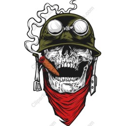 Skull Soldier