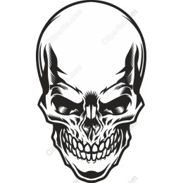 Fierce Skull