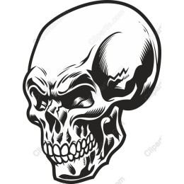 Intricate Skull