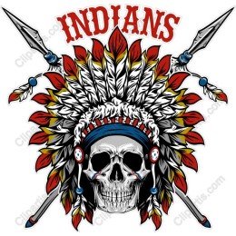 Indian Skull Headdress