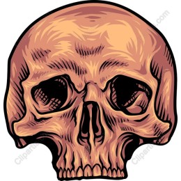 Stylized Skull