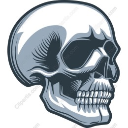 Premium Skull in and