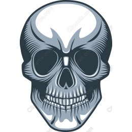 Edgy Skull