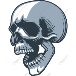 Skull for Graphic