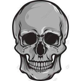 Classic Skull