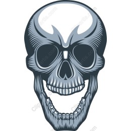 Intricate Skull