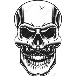 Vintage Skull with Mustache