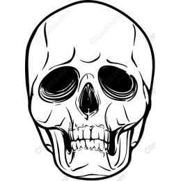Intricate Skull