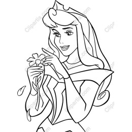 Charming Princess Flower