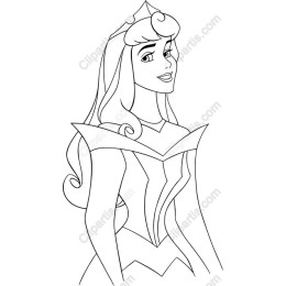 Enchanting Princess