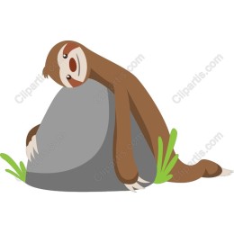 Charming Sloth