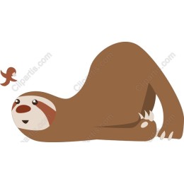 Charming Sloth and Bird