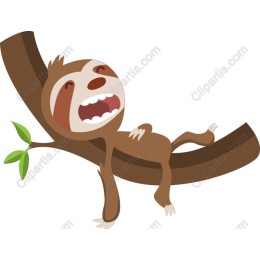 Charming Sloth