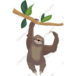 Charming Hanging Sloth