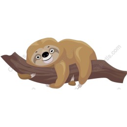 Charming Sloth