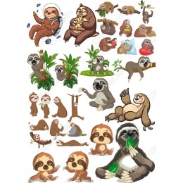 Sloth Collection