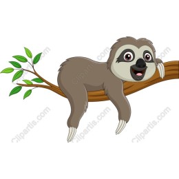 Playful Sloth