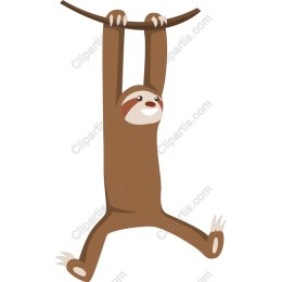 Cheerful Sloth