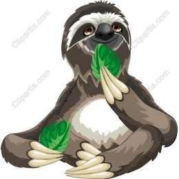 Charming Sloth