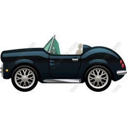 Sleek Black Convertible Car