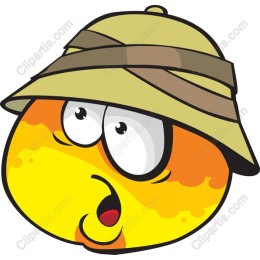 Whimsical Safari Explorer