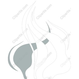 Elegant Movement