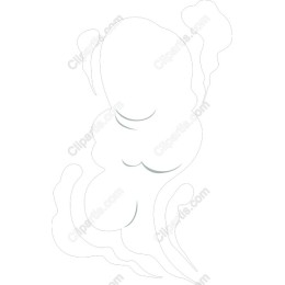 Elegant Minimalist