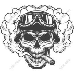 Vintage Skulls with Aviator Helmet