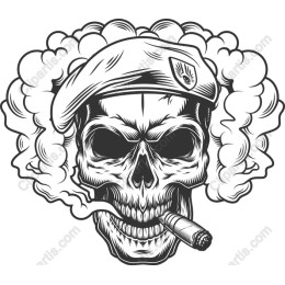 Edgy Skull with Beret and Smoke