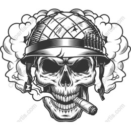 Warrior Skull in Helmet