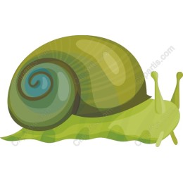 Charming Green Snail