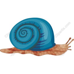 Blue Spiral Snail