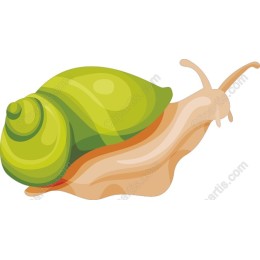 Charming Green Snail