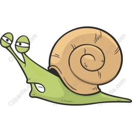 Playful Snail