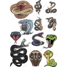 Snake Bundle