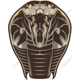 Majestic Cobra