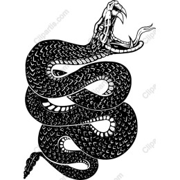 Fierce Black and White Snake work