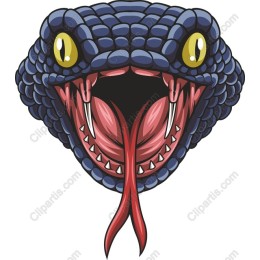 Bold Snake Head