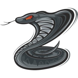 Fierce Black Cobra